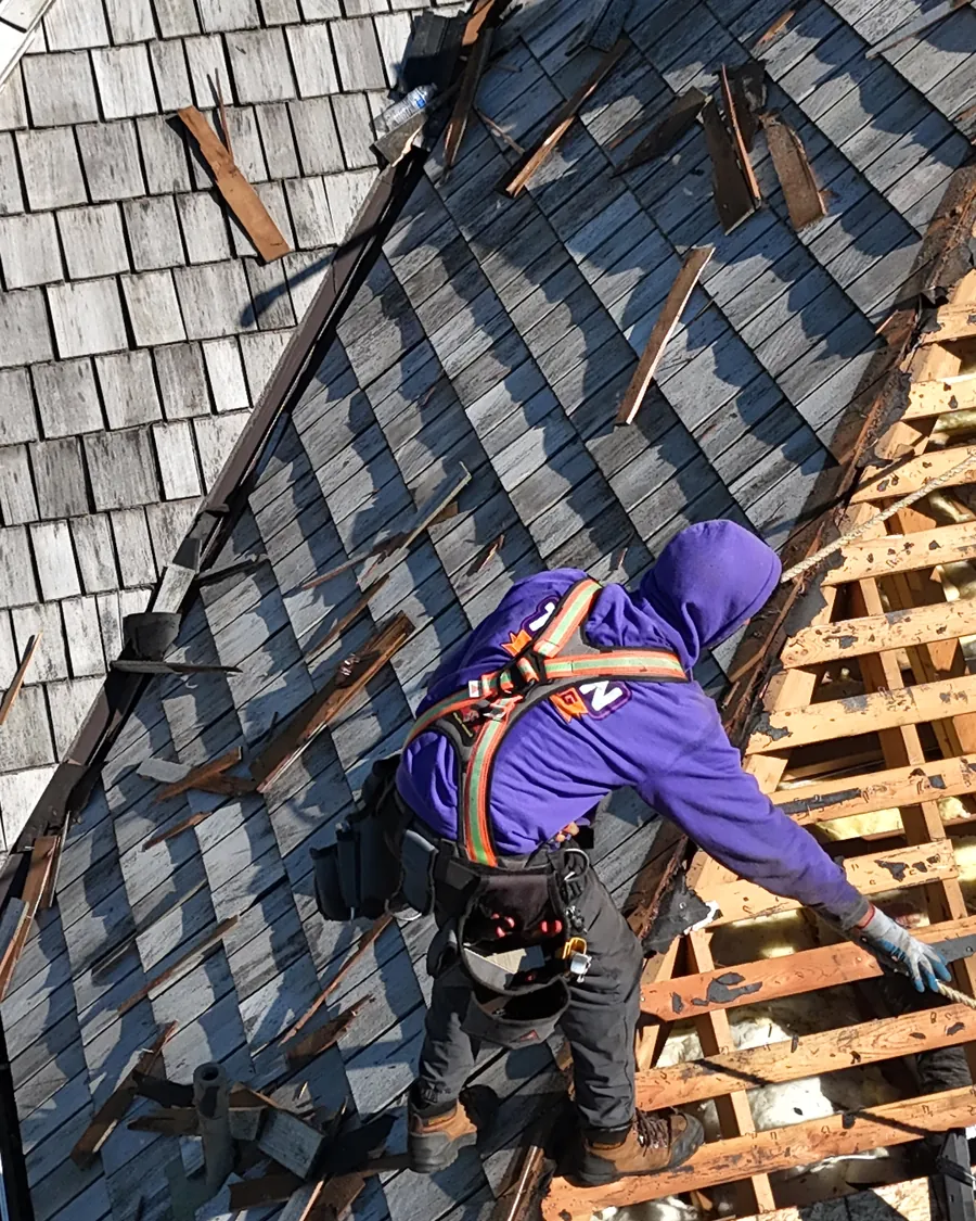 Titan Roofing crew member tearing off old cedar shakes down to the deck