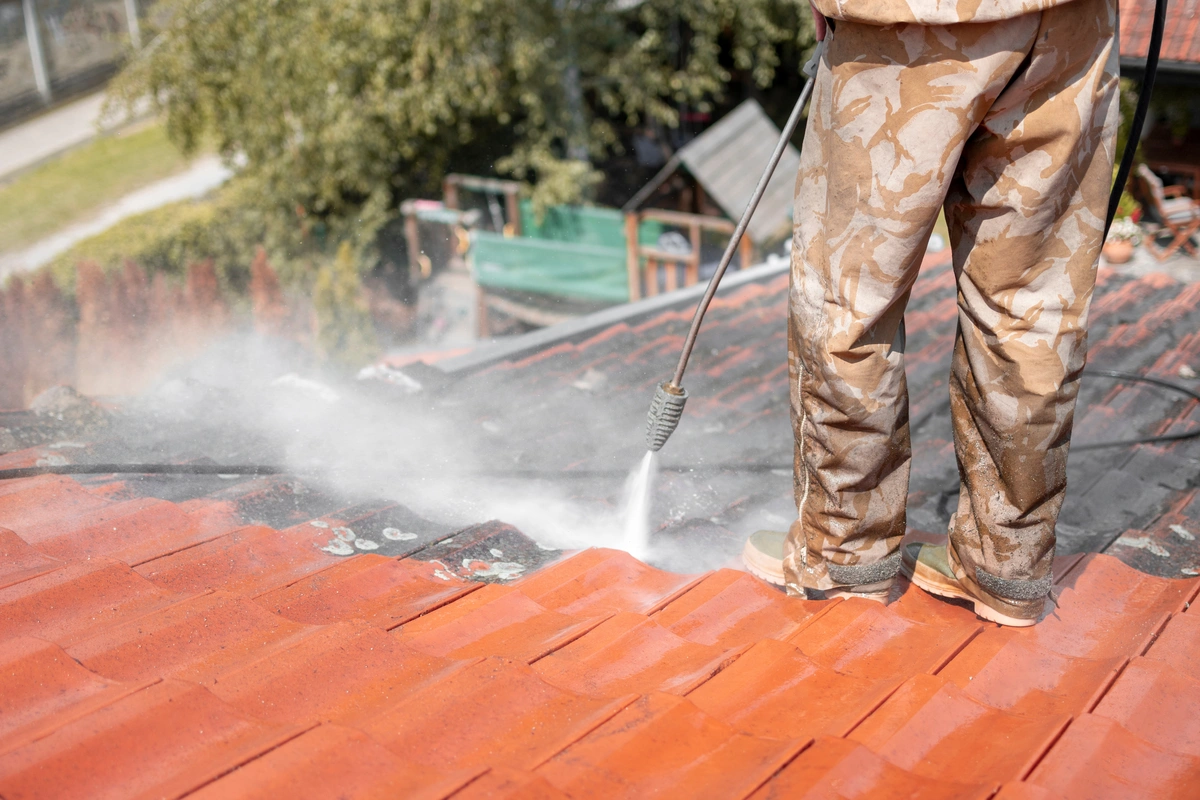 Do I Need a Roof Cleaning? (Step by Step Guide for a Roof Like New)