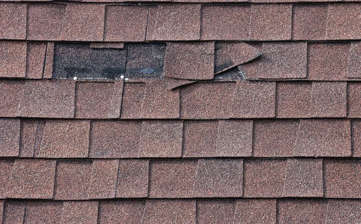 Missing Shingles? – 5 Steps to Repair