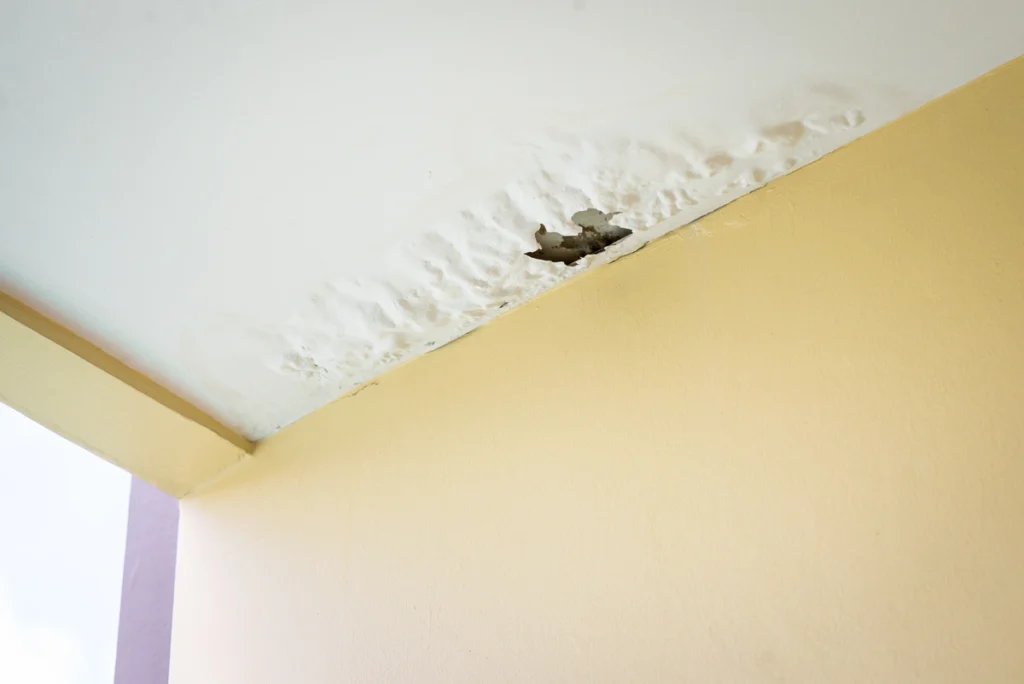 Ceiling damage caused by roof leak